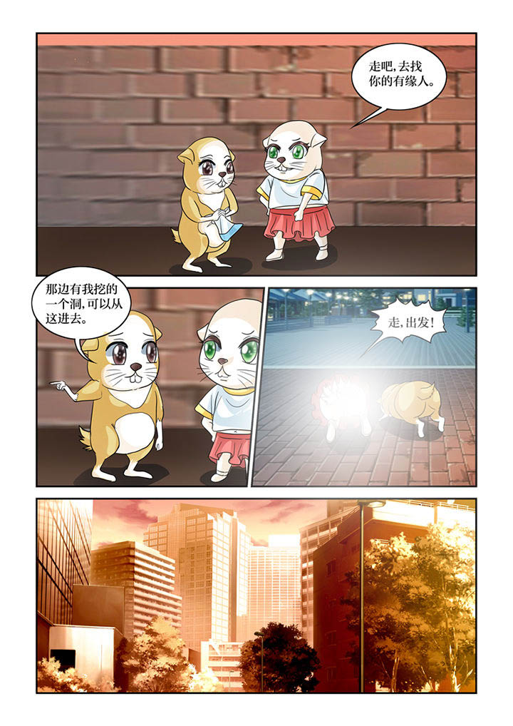第61章：转世书生5