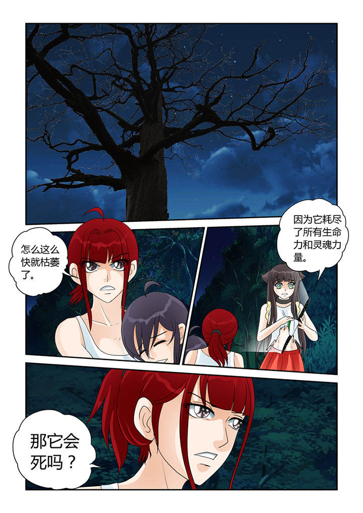 第21章：树妖的馈赠10