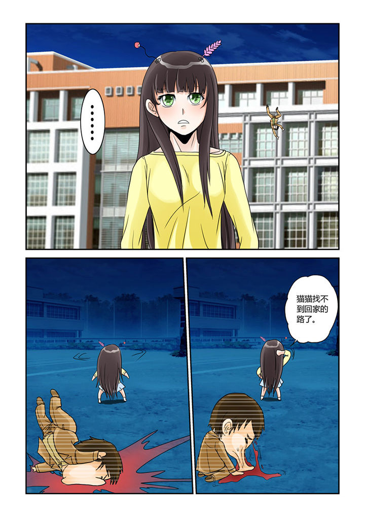 第4章：猫猫丢了吗8