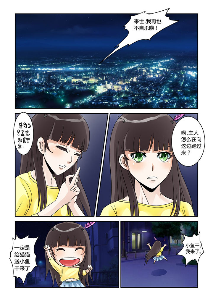 第4章：猫猫丢了吗10