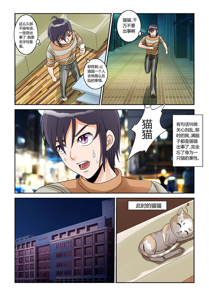 第4章：猫猫丢了吗6