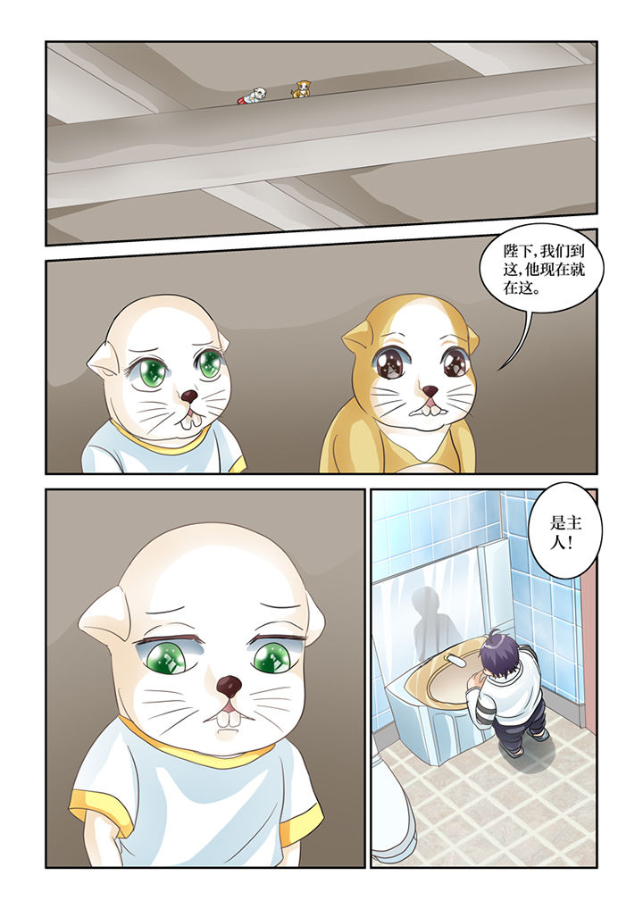 第61章：转世书生12