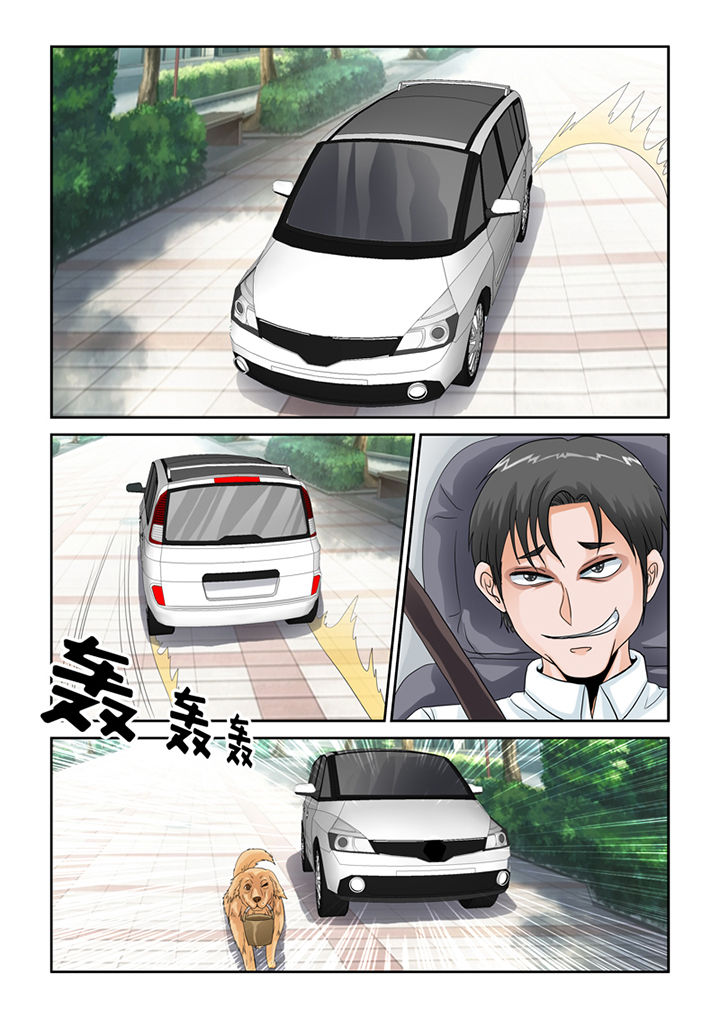 第46章：魔猫11