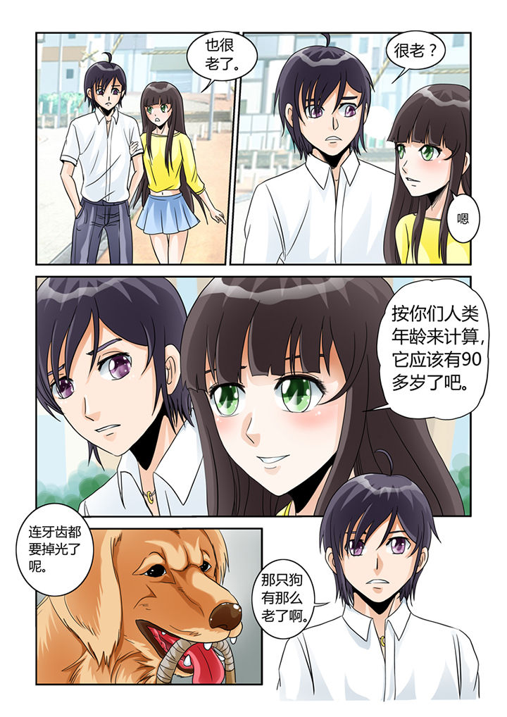 第5章：买买买5