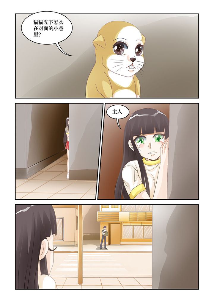 第62章：误会9