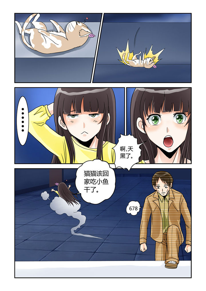 第4章：猫猫丢了吗7