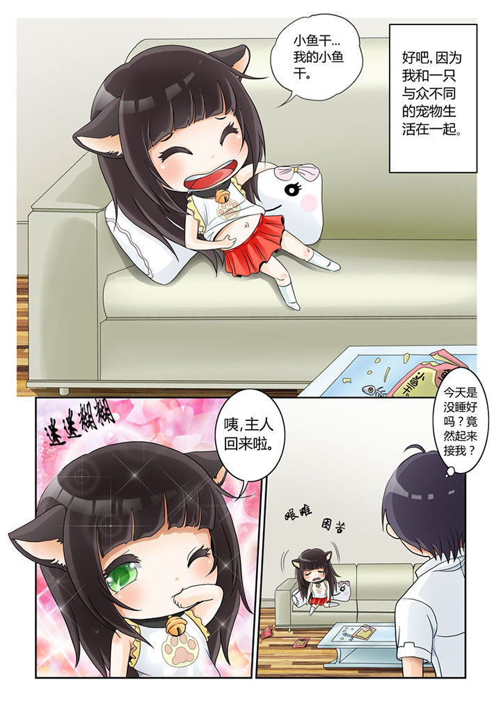第1章：2