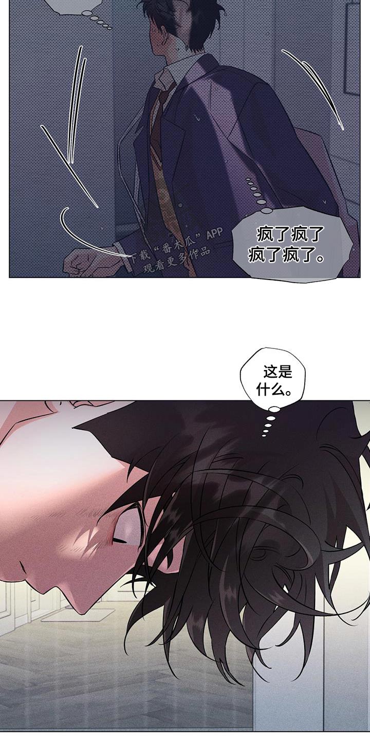 第56章：期待什么15