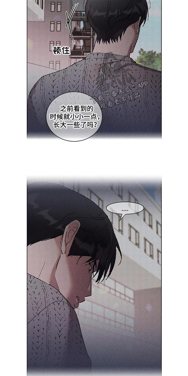 第49章：联系8