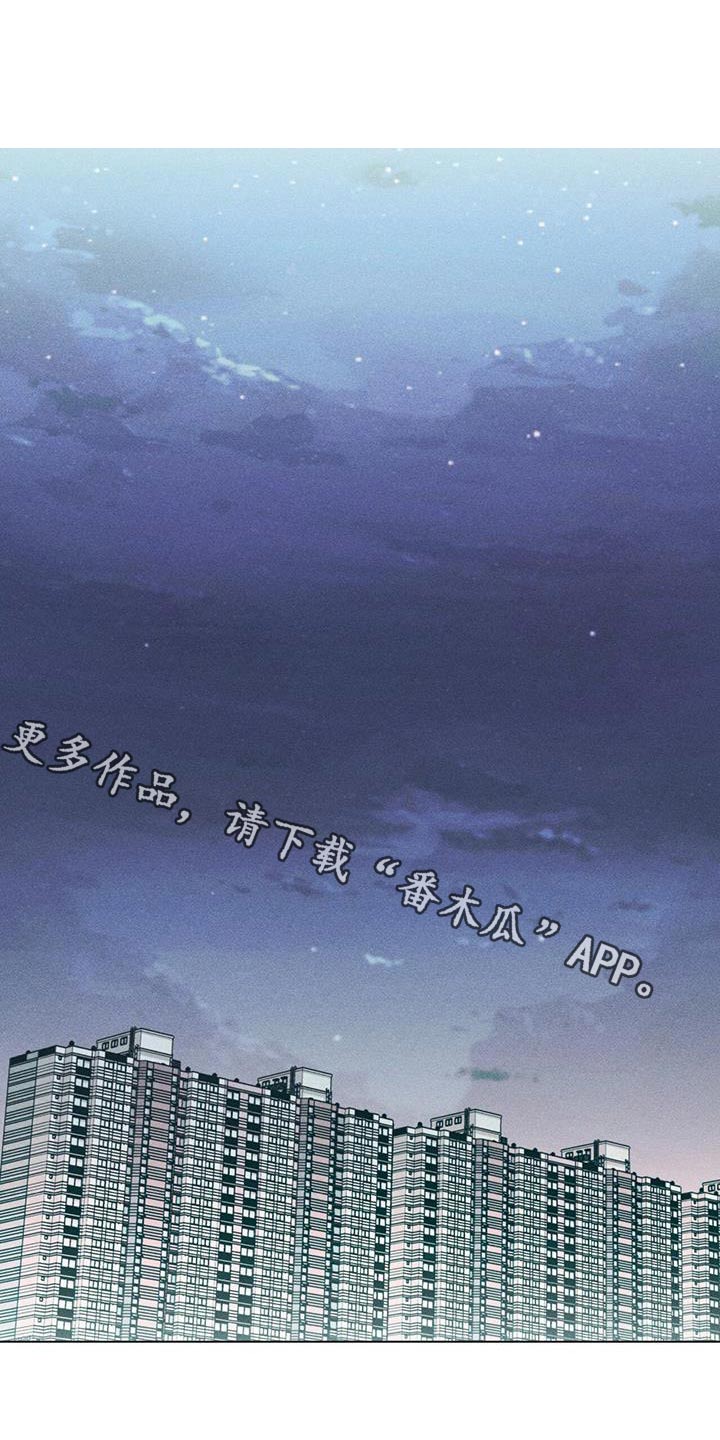 第54章：什么关系0