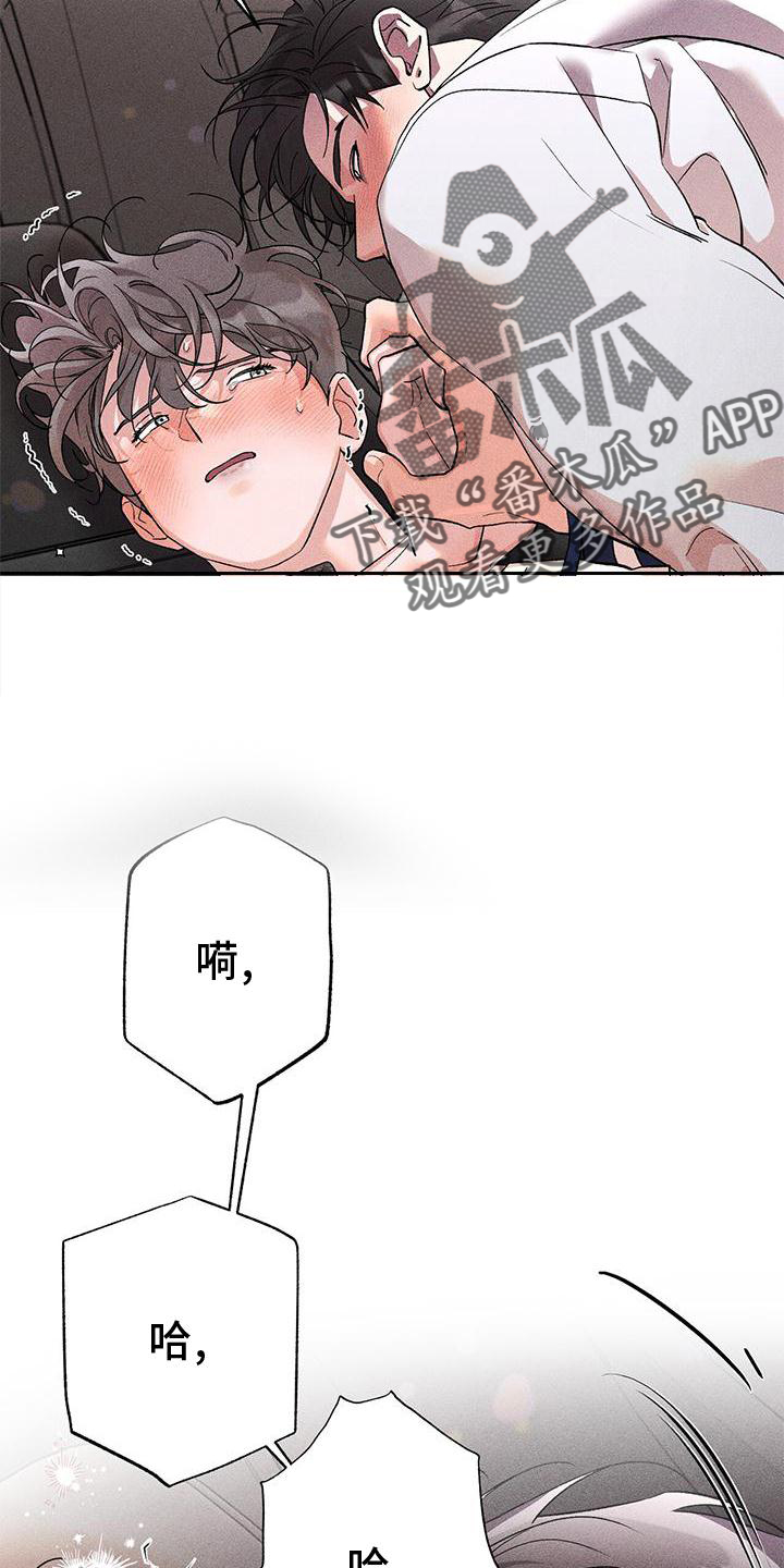 第41章：帮你4