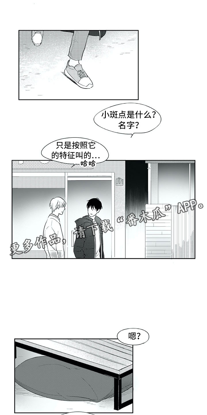 第24章：笑容9