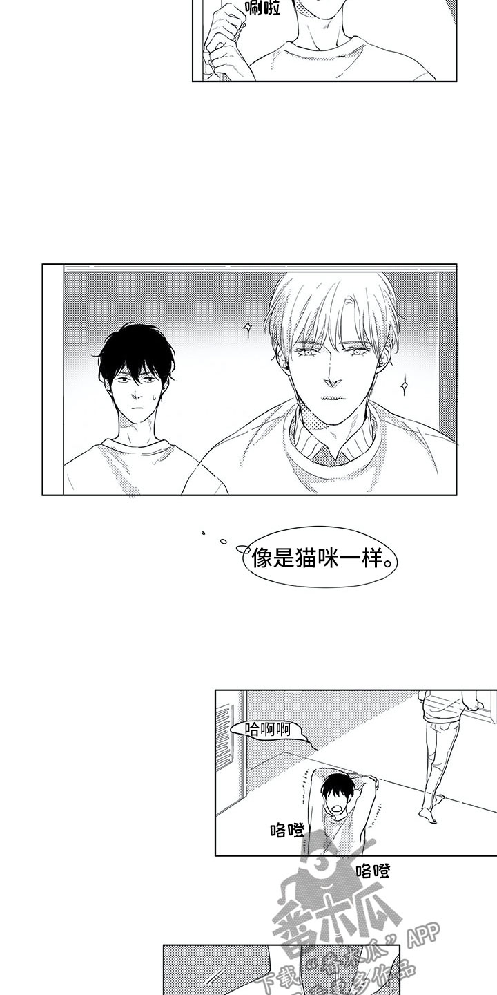 第15章：日常12