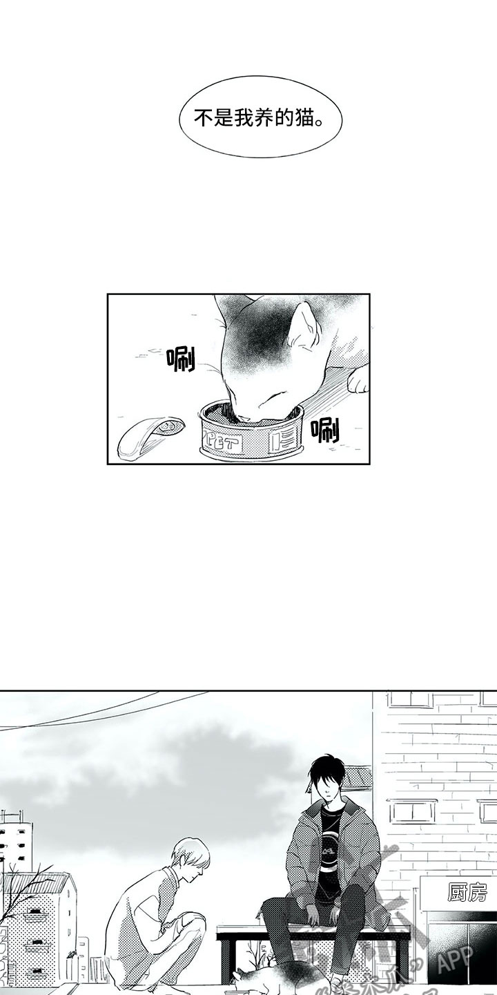 第19章：心乱1