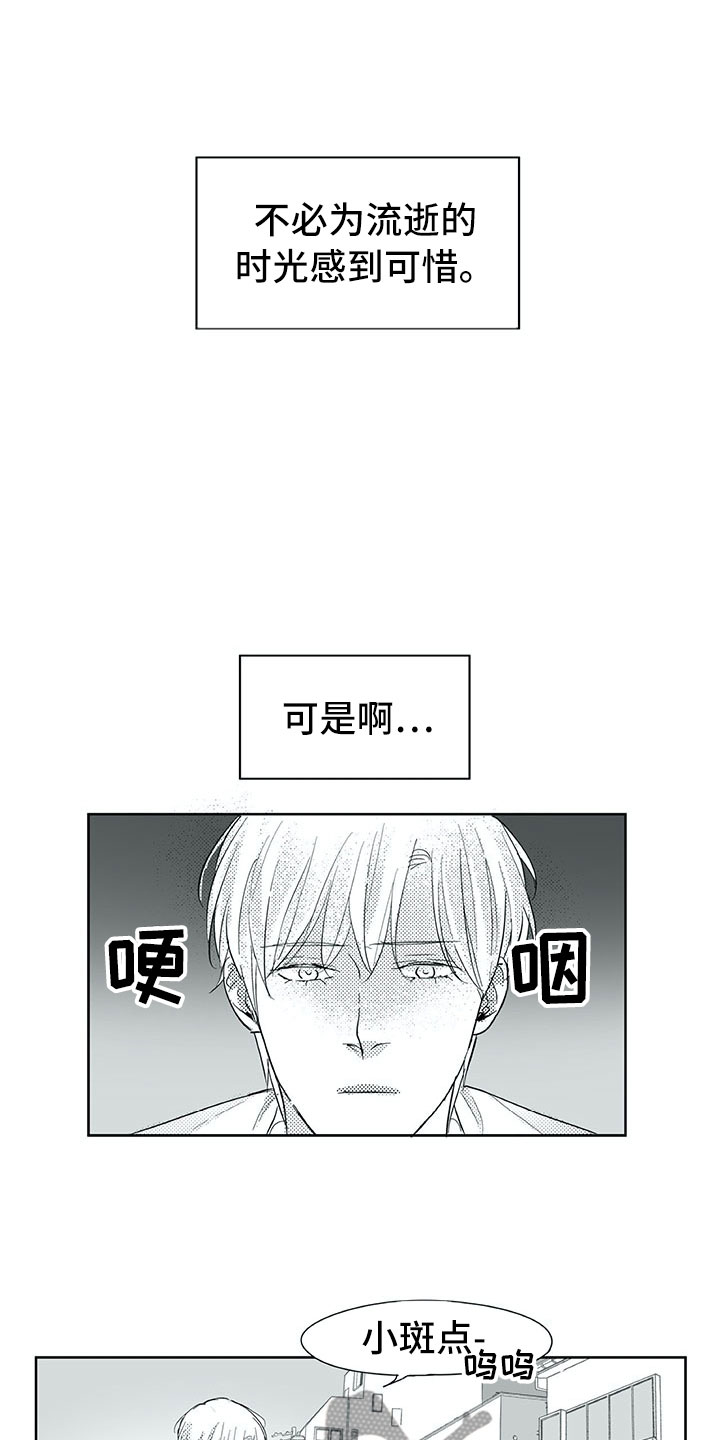 第29章：时间11