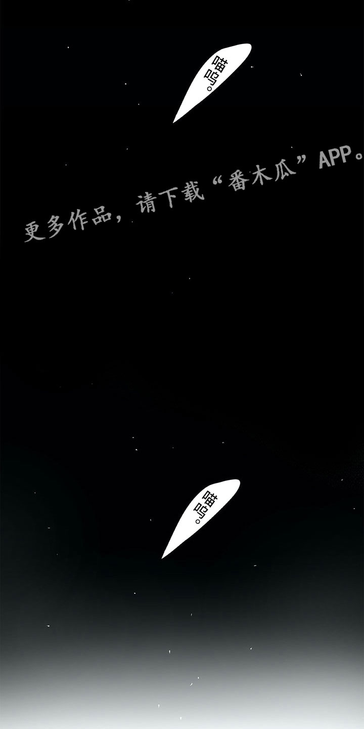 第18章：猫咪11
