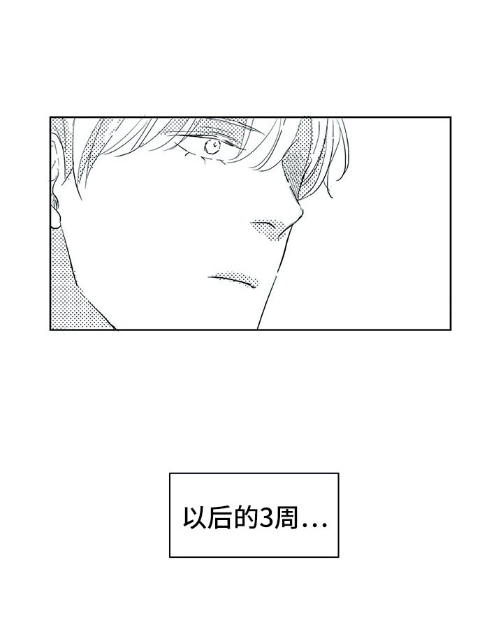 第28章：三周19