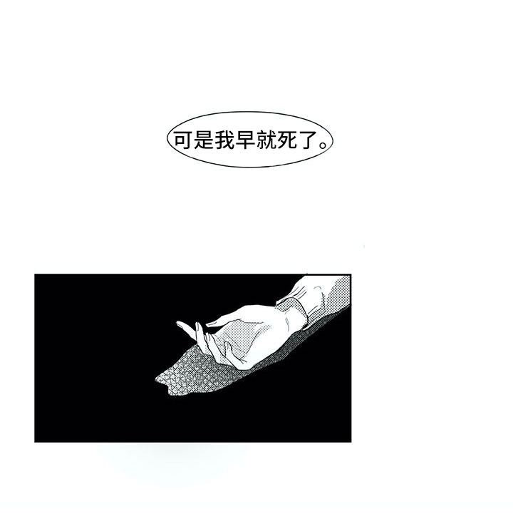 第29章：时间13