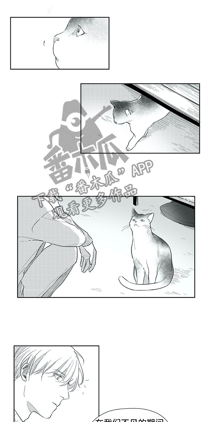 第29章：时间15