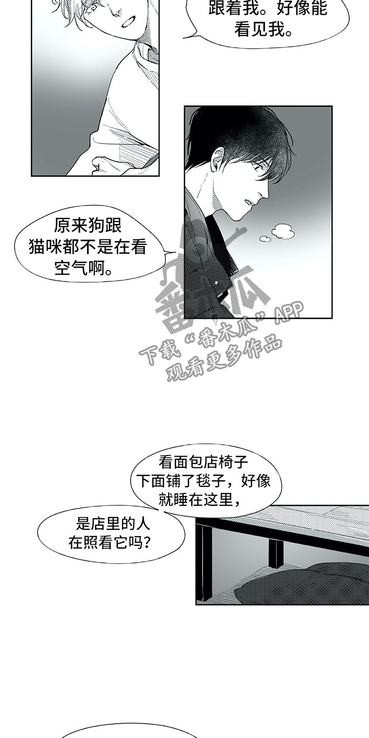 第18章：猫咪15