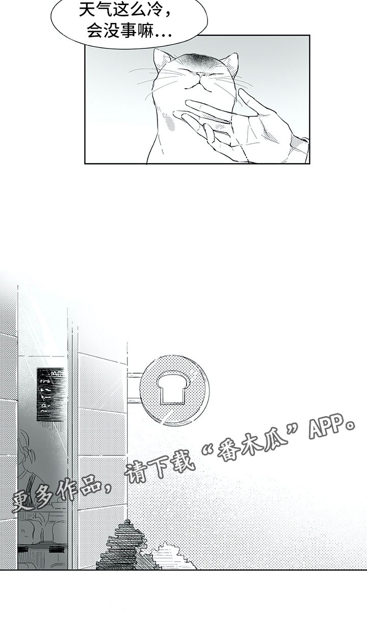 第18章：猫咪16