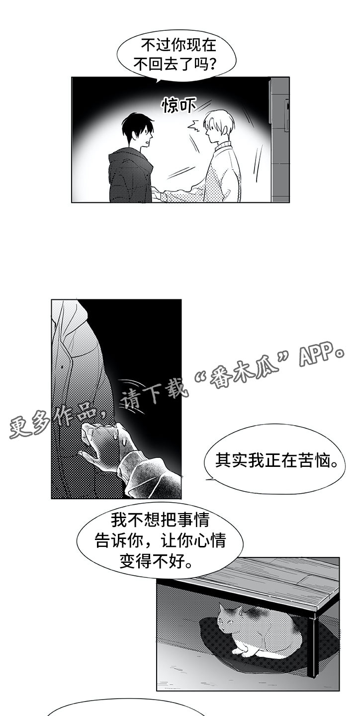 第18章：猫咪6