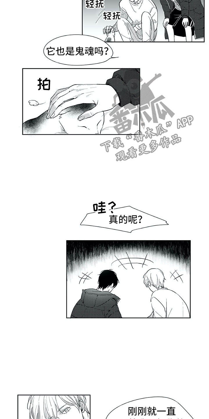 第18章：猫咪14