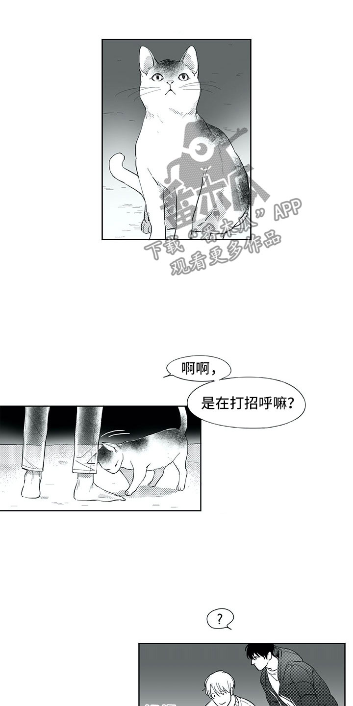 第18章：猫咪13