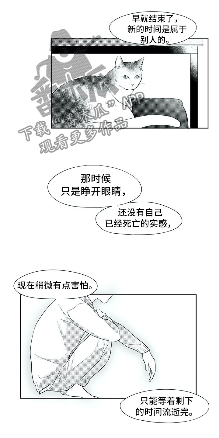 第29章：时间14