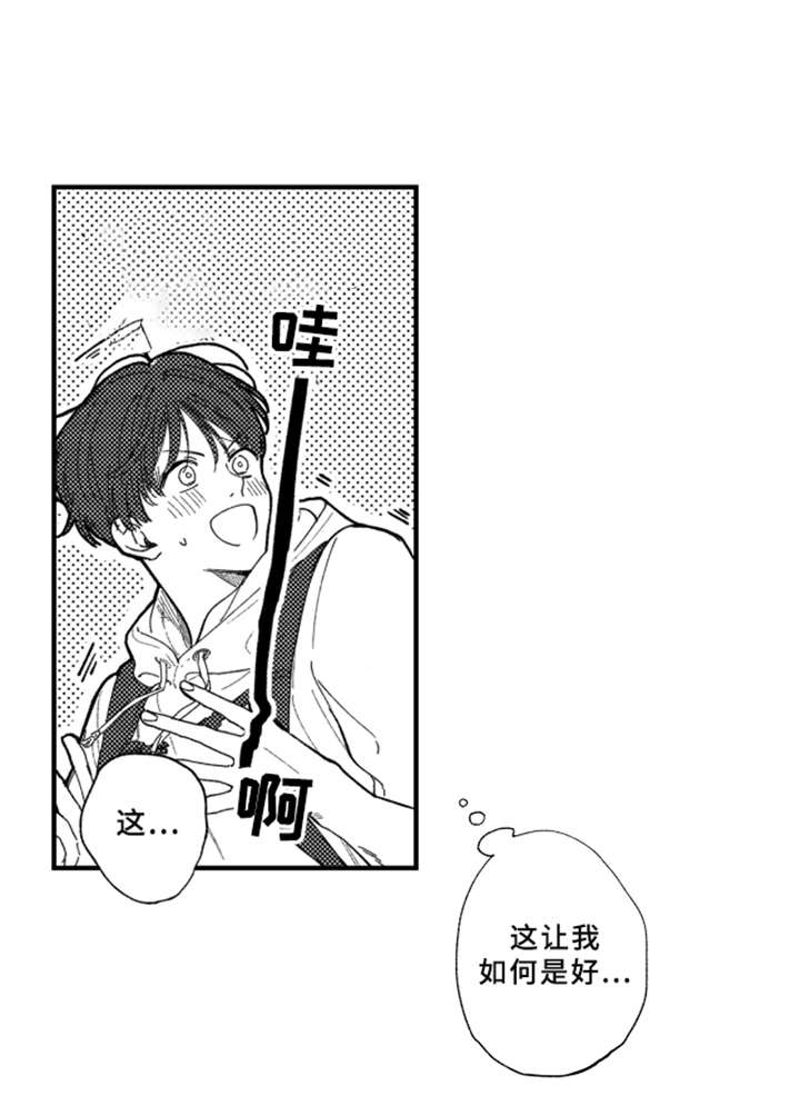 第8章：很好看15