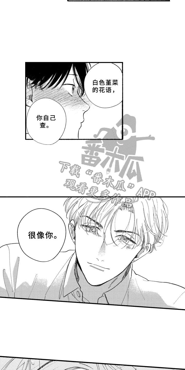 第7章：白色堇菜6
