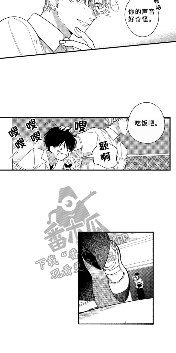 第7章：白色堇菜13
