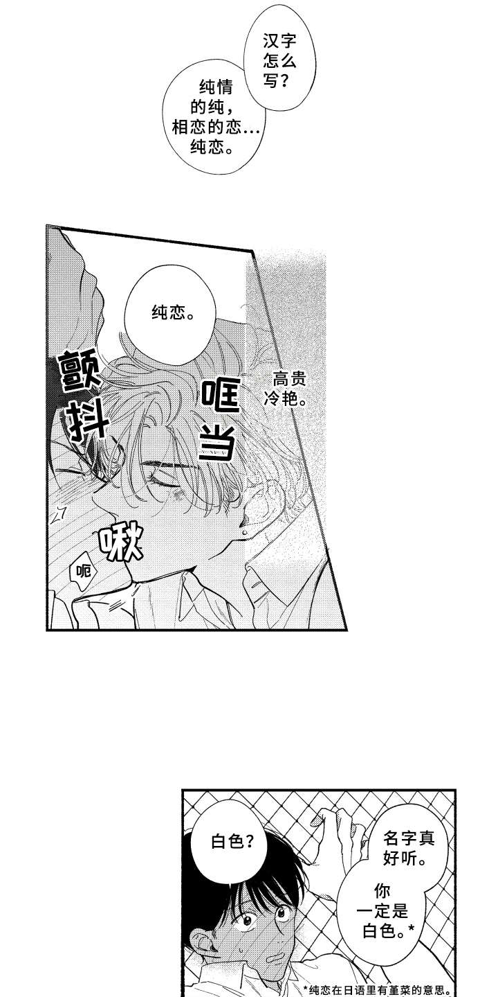 第7章：白色堇菜5