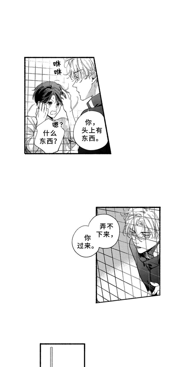 第12章：笑了5