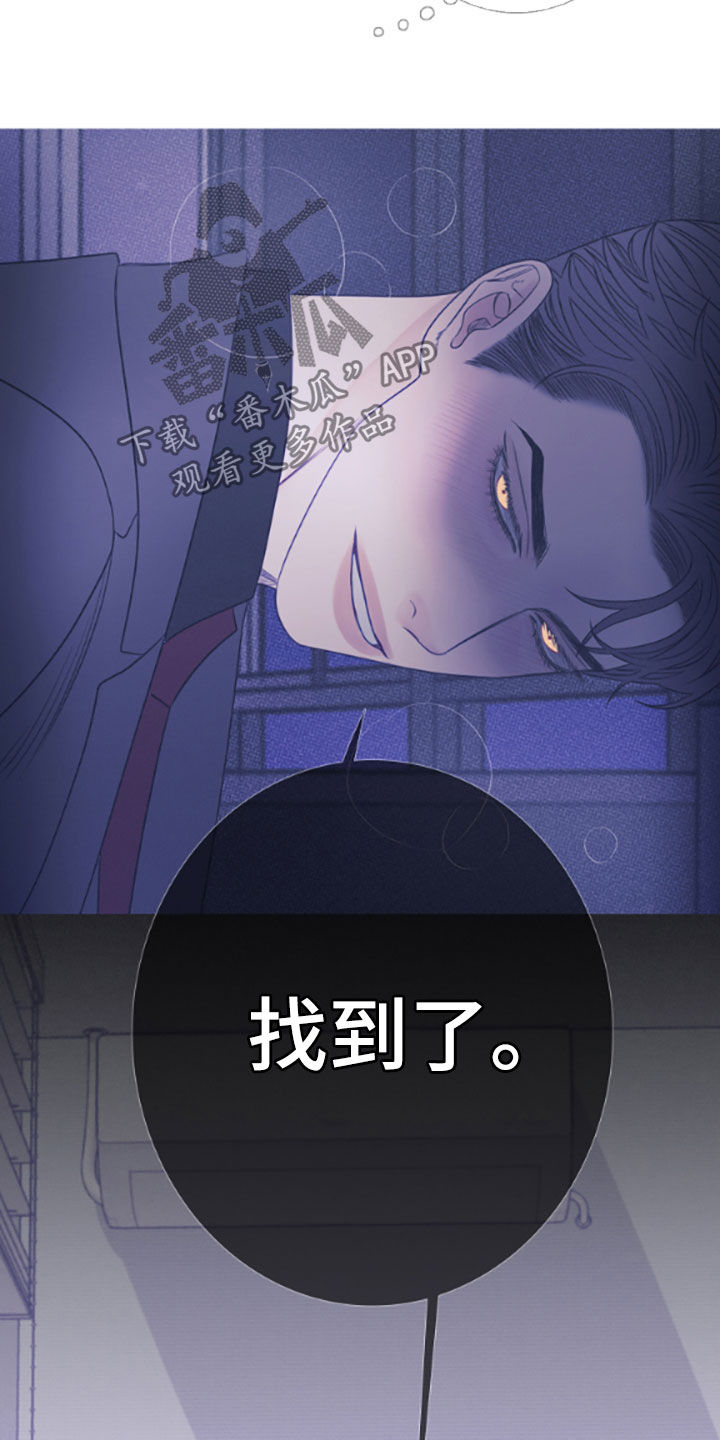第39章：视频8