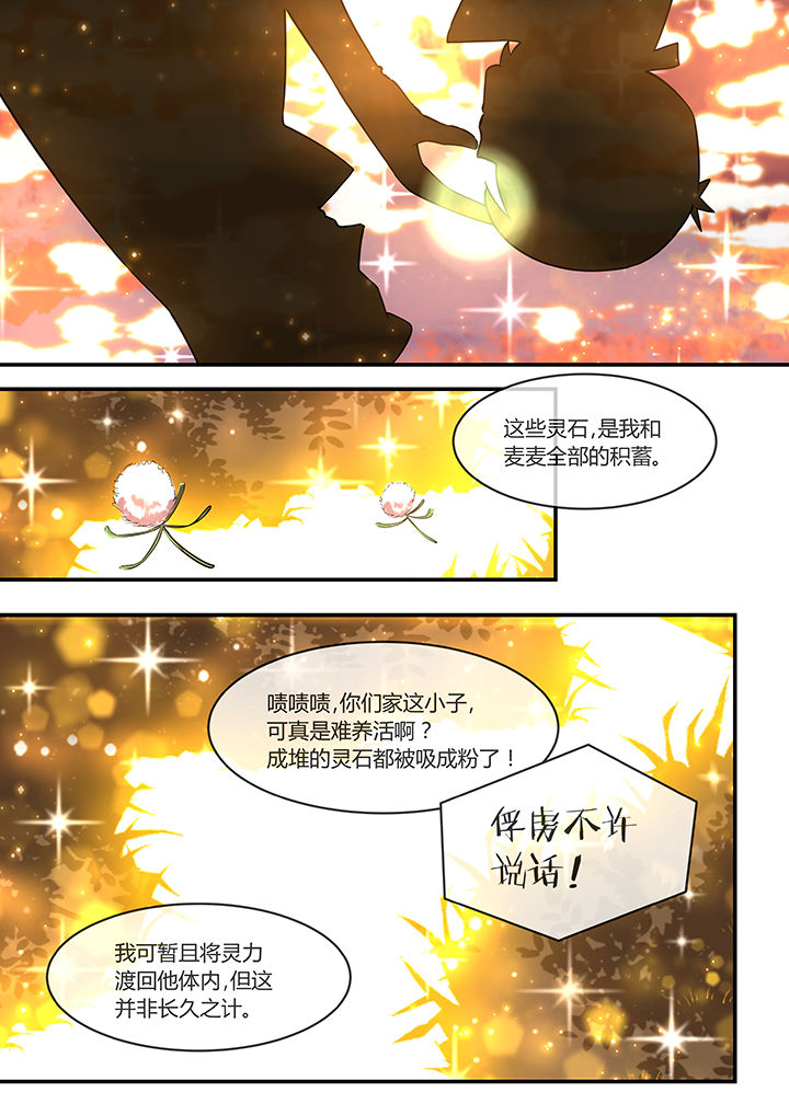 第31章：6