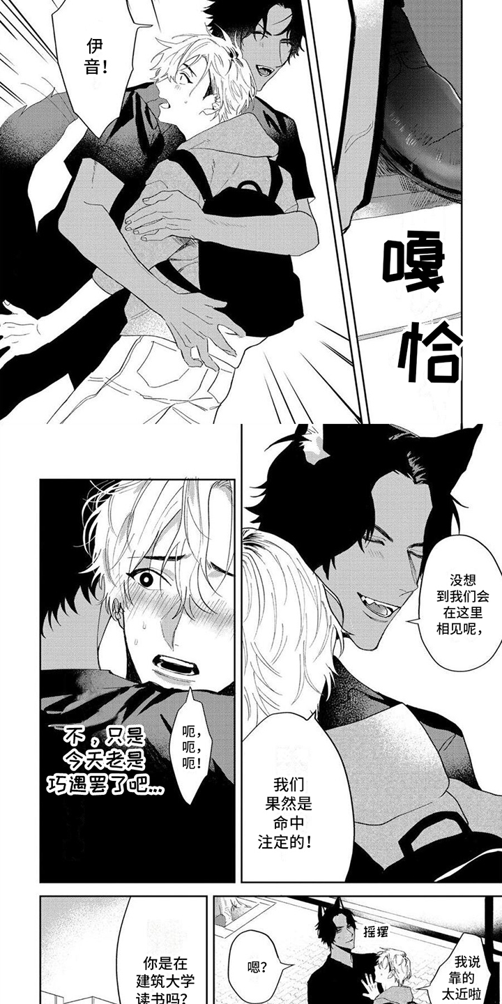 第2章：强势1