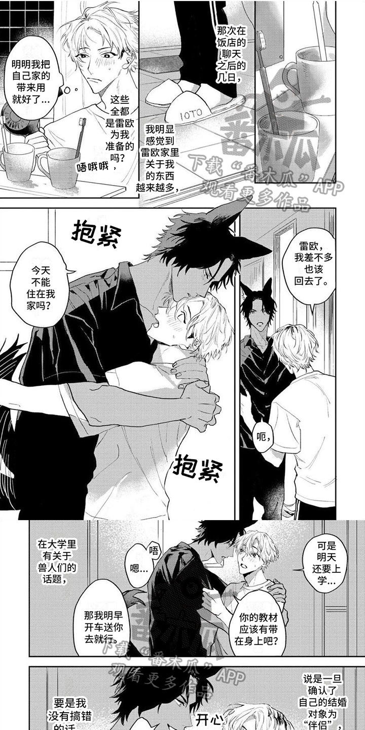 第10章：决定0