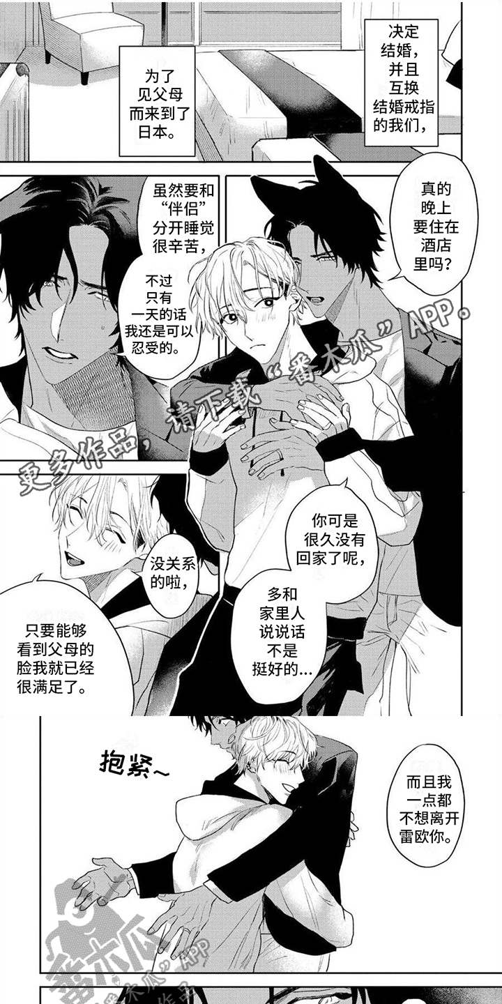 第18章：【番外】家人0