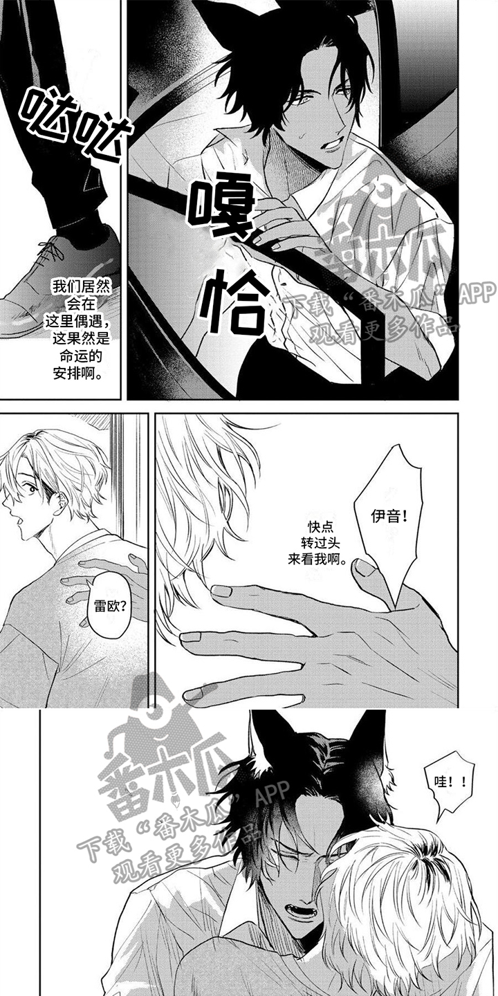 第8章：恋人0