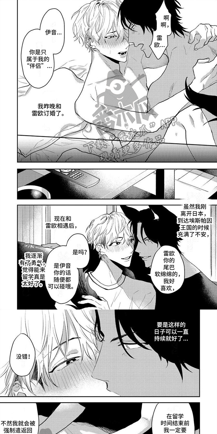 第12章：买戒指0