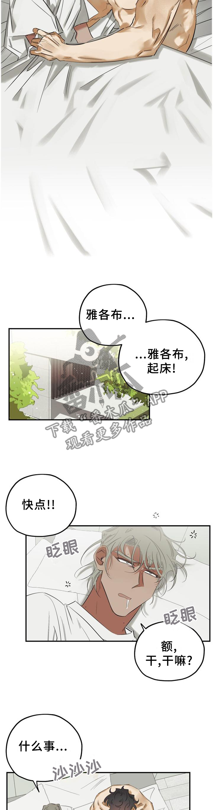第45章：【完结】公布4
