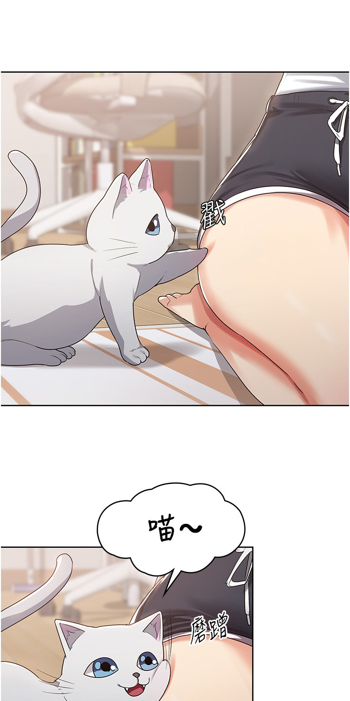 第7章：小咪9