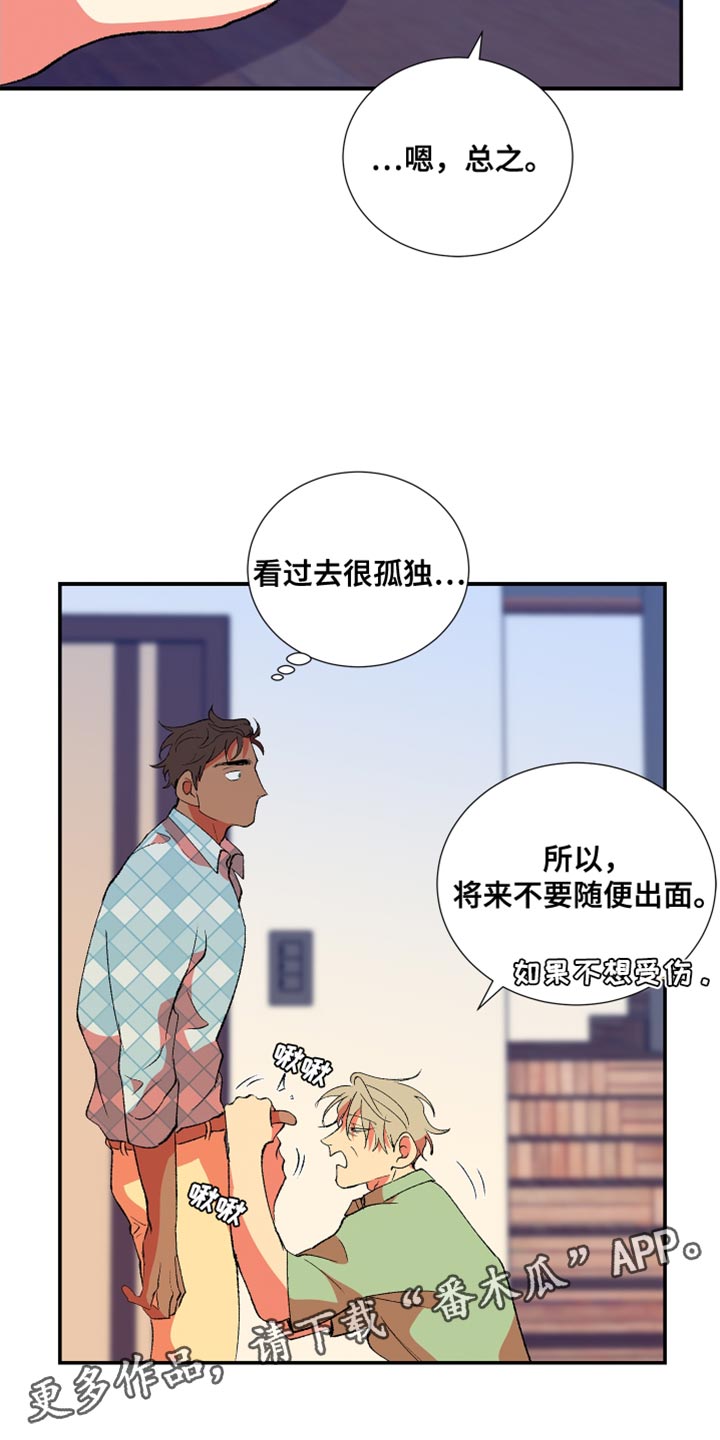 第34章：胡思乱想19