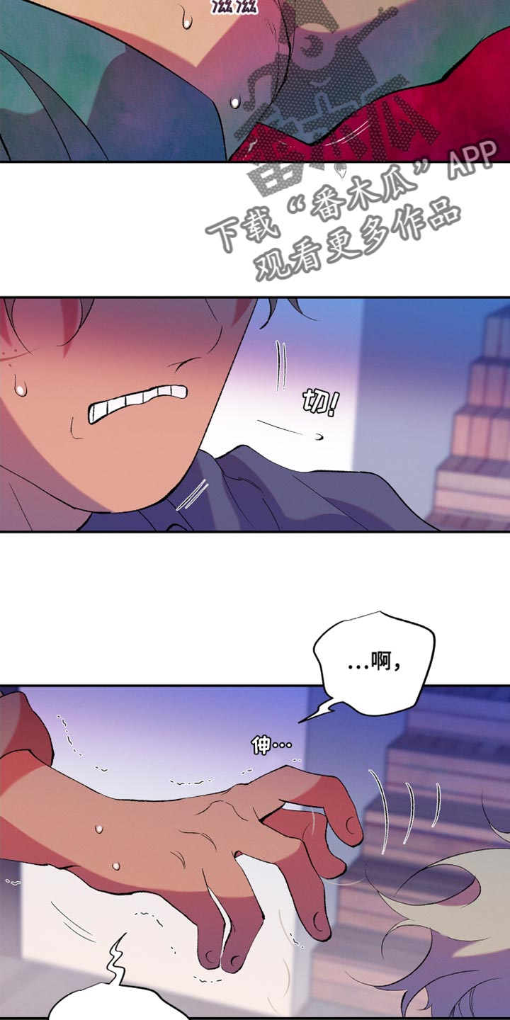 第33章：暴力13