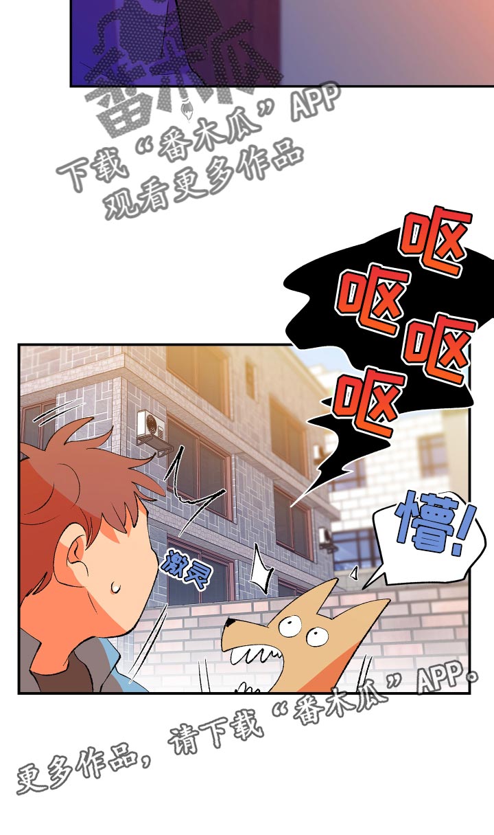 第16章：梦15