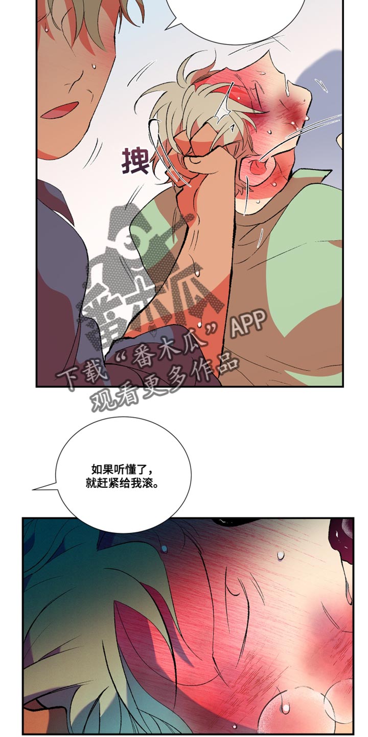 第33章：暴力6