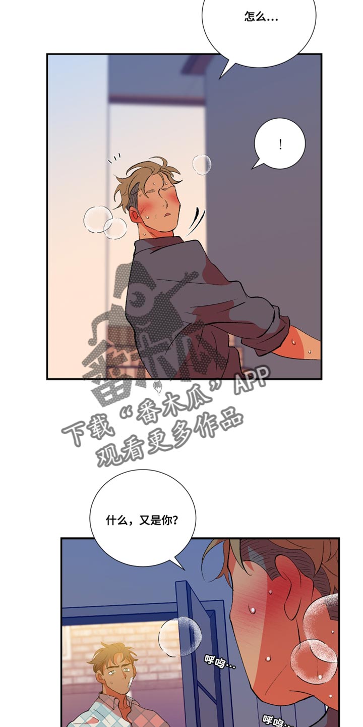 第33章：暴力4