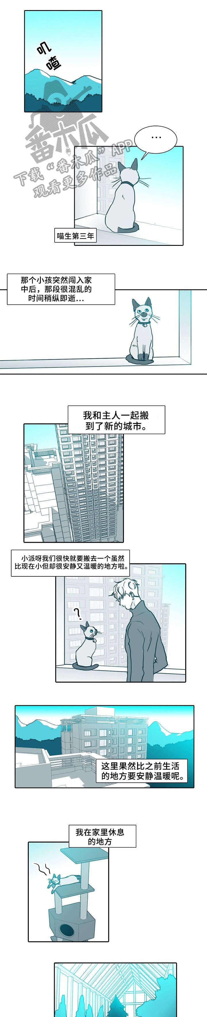 第63章：做饭2