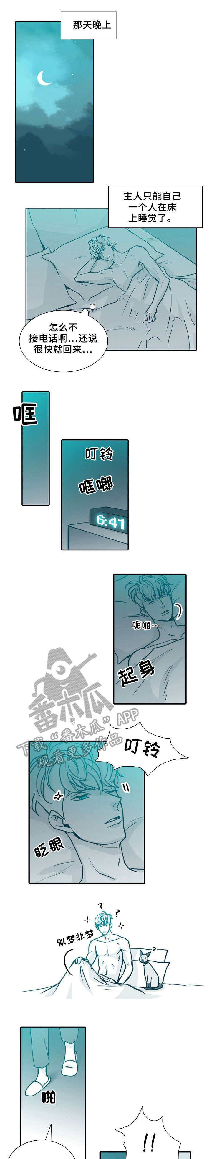 第66章：喵（完结）0